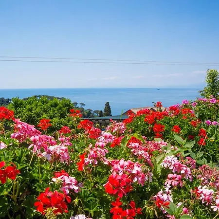 Le Clementine Bed & Breakfast Camogli