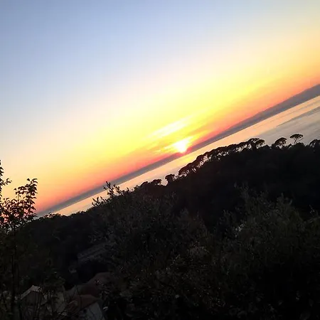 克莱门汀住宿加早餐旅馆 住宿加早餐酒店