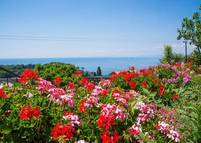 Le Clementine Bed & Breakfast Camogli