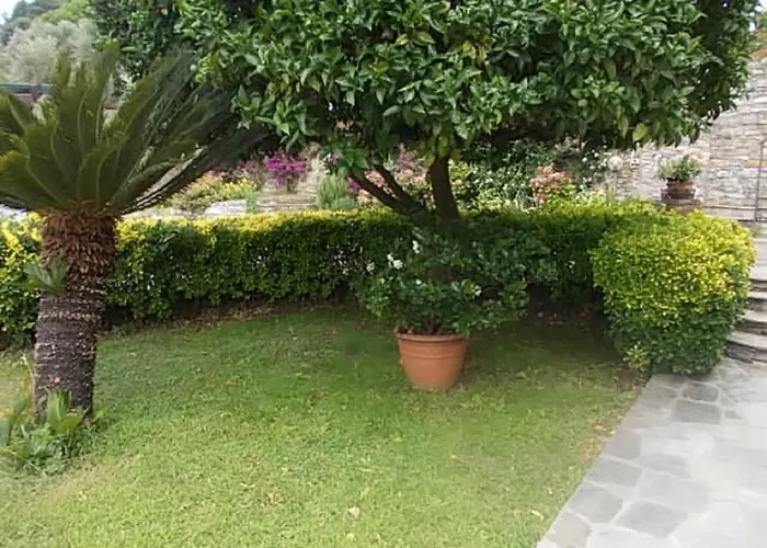 Le Clementine Bed & Breakfast Camogli