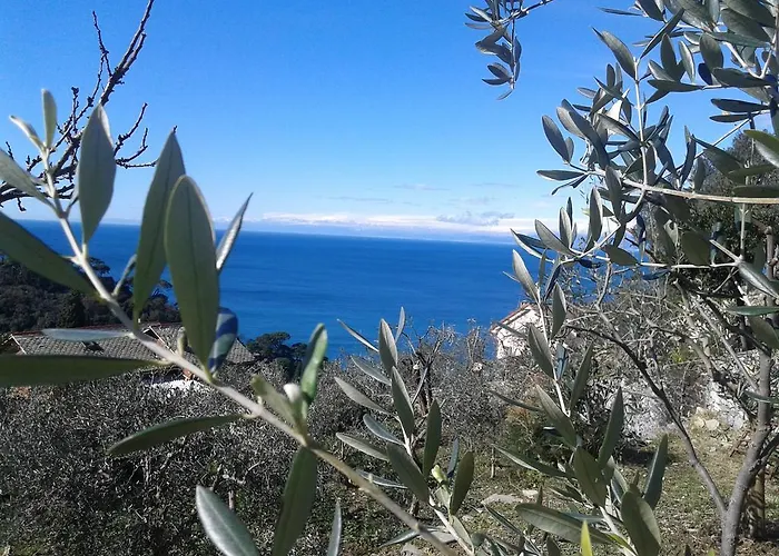 Le Clementine Camogli
