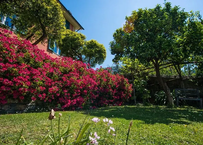 Le Clementine Bed & Breakfast Camogli