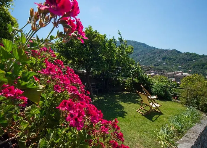 Bed & Breakfast Le Clementine