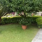 Le Clementine Bed & Breakfast Camogli