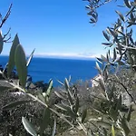 Le Clementine Camogli
