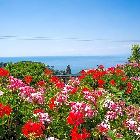Le Clementine Bed & Breakfast Camogli