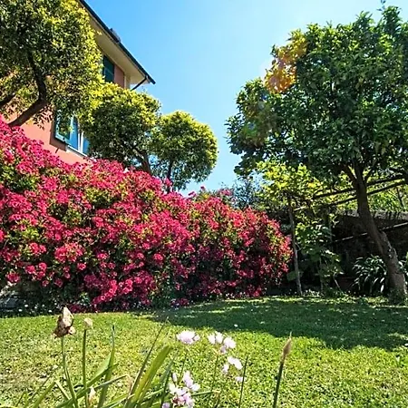 Le Clementine Bed & Breakfast Camogli