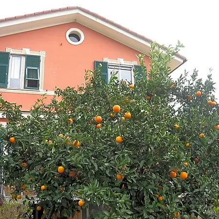 Le Clementine Bed & Breakfast Camogli