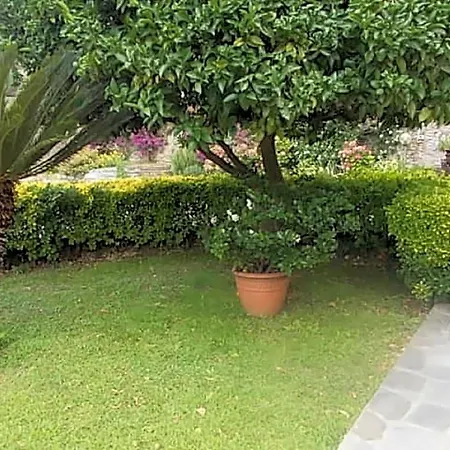 Bed & Breakfast Le Clementine Camogli