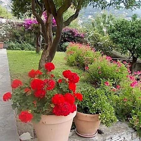 Le Clementine 3* Camogli