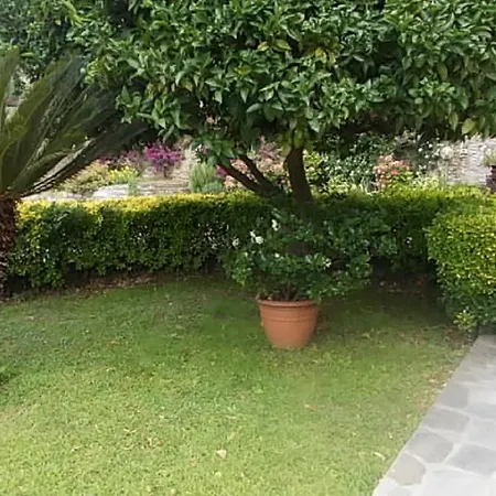 Le Clementine Bed & Breakfast Camogli