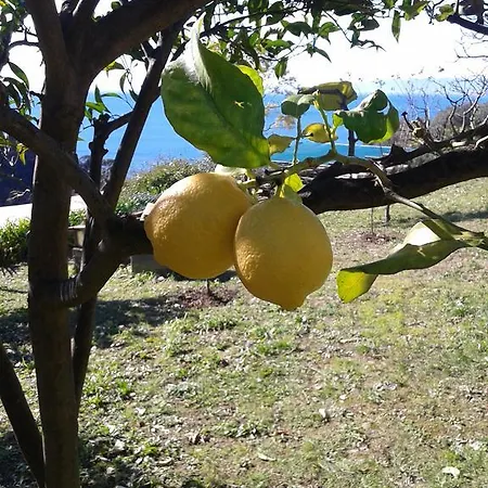Le Clementine Bed & Breakfast