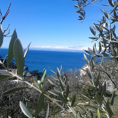 Le Clementine Camogli