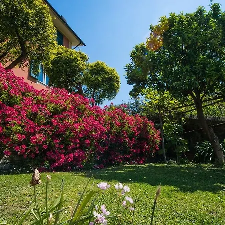 Le Clementine Alojamento de Acomodação e Pequeno-almoço Camogli