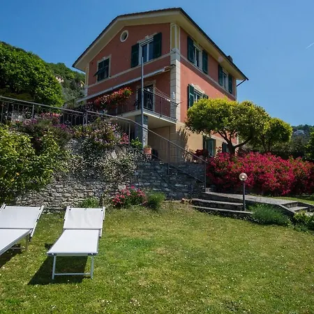Le Clementine Camogli
