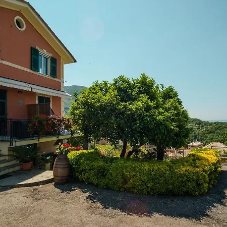 Le Clementine 3*