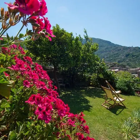 Bed & Breakfast Le Clementine