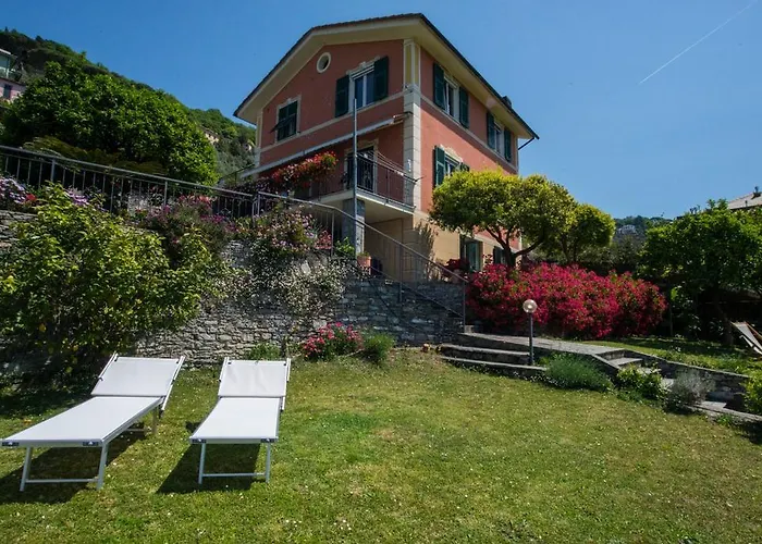 Le Clementine 카모글리